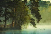 Dutch Fen Wall Mural