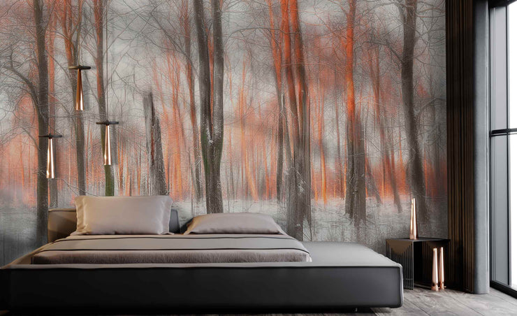 Evening Light Wall Mural