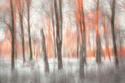 Evening Light Wall Mural