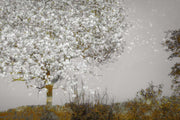 Fruit Tree Wall Mural