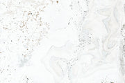Light Marbleized Wall Mural